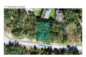 111 WARMOUTH LANE, KISSIMMEE, FL 34759 - MLS#MFRS5137612