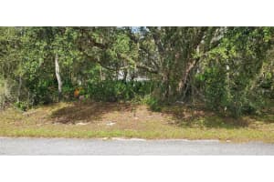 1227 ALAFIA WAY, KISSIMMEE, FL 34759 - MLS#MFRS5137694