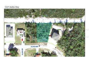 1227 ALAFIA WAY, KISSIMMEE, FL 34759 - MLS#MFRS5137694