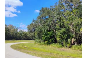 158 REDWING COURT, KISSIMMEE, FL 34759 - MLS#MFRS5137707