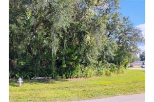 158 REDWING COURT, KISSIMMEE, FL 34759 - MLS#MFRS5137707