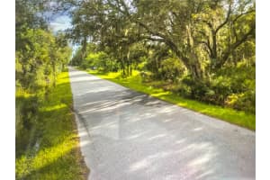 3225 DOUGLAS ROAD, PORT CHARLOTTE, FL 33980 - MLS#MFRS5137760