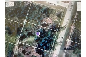 3233 DOUGLAS ROAD, PORT CHARLOTTE, FL 33980 - MLS#MFRS5137764