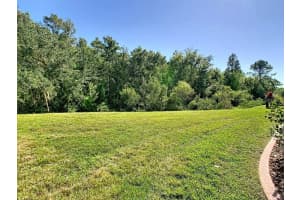 543 VIA VITALE COURT, KISSIMMEE, FL 34759 - MLS#MFRS5137772