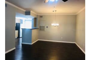 1000 VIA SANTAE LANE, CELEBRATION, FL 34747 - MLS#MFRS5137822