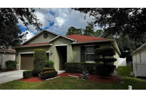 1055 TOURMALINE DRIVE, KISSIMMEE, FL 34746 - MLS#MFRS5138155