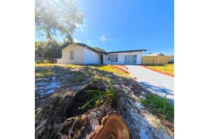 905 SPRING CREEK DRIVE, OCOEE, FL 34761 - MLS#MFRS5138156