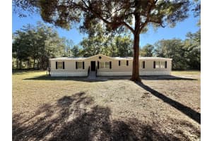 16200 50TH STREET ROAD, OCALA, FL 34481 - MLS#MFRS5138198