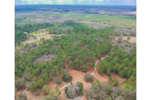 DUBOISE DR, CLERMONT, FL 34711 - MLS#MFRS5138235