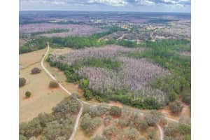 DUBOISE DR, CLERMONT, FL 34711 - MLS#MFRS5138235