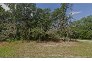 SW 146TH LANE, OCALA, FL 34481 - MLS#MFRS5138320