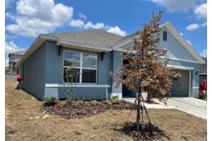 2015 CHICKASAW BOULEVARD, DAVENPORT, FL 33837 - MLS#MFRS5138625