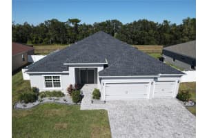 319 TRAVELERS CREEK DRIVE, AUBURNDALE, FL 33823 - MLS#MFRS5138685