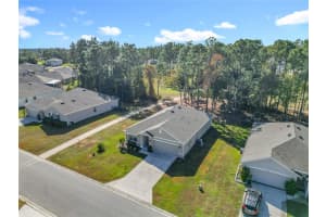80 HICKORY COURSE LOOP, OCALA, FL 34472 - MLS#MFRS5138868