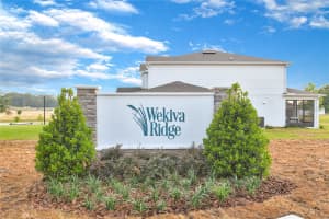 813 SLIVER RIDGE LANE, MOUNT DORA, FL 32757 - MLS#MFRS5138959