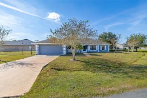 1123 CHICHESTER COURT, KISSIMMEE, FL 34758 - MLS#MFRS5138970