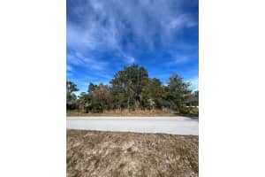 BAHIA TERRACE, OCALA, FL 34472 - MLS#MFRS5139041