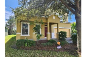 1540 WHITEWATER FALLS DRIVE, ORLANDO, FL 32824 - MLS#MFRS5139088