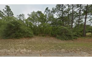 7627 DALTON TERRACE, DUNNELLON, FL 34434 - MLS#MFRS5139178