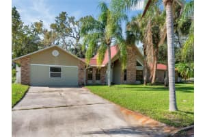 500 Teacup Springs Ct, WINTER GARDEN