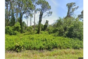 432 BRANBURY AVENUE, LAKE PLACID, FL 33852 - MLS#MFRS5139446