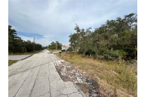 1205 ALAFIA WAY, KISSIMMEE, FL 34759 - MLS#MFRS5139453