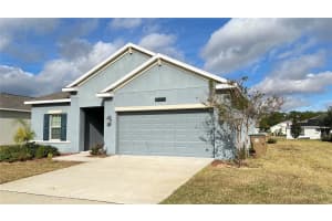 16466 GLASSY LOCH LOOP, CLERMONT, FL 34714 - MLS#MFRS5139557