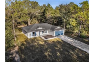 11790 ORANGE ROAD, OCKLAWAHA, FL 32179 - MLS#MFRS5139643