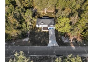 11790 ORANGE ROAD, OCKLAWAHA, FL 32179 - MLS#MFRS5139643