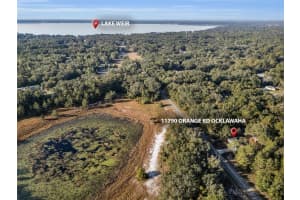 11790 ORANGE ROAD, OCKLAWAHA, FL 32179 - MLS#MFRS5139643