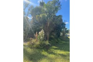 38 SLEEPY HOLLOW TRAIL, PALM COAST, FL 32164 - MLS#MFRS5139649