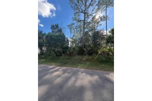 38 SLEEPY HOLLOW TRAIL, PALM COAST, FL 32164 - MLS#MFRS5139649