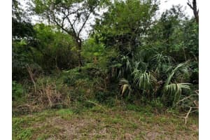 12 + 13 CAESAR, NORTH PORT, FL 34288 - MLS#MFRS5140027