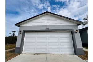 1310 HOMOSASSA DRIVE, KISSIMMEE, FL 34759 - MLS#MFRS5140085