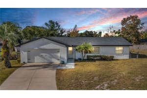 685 Oleander St, MOUNT DORA