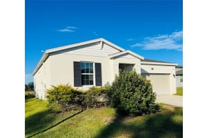 29994 ANAHID DRIVE, LEESBURG, FL 34748 - MLS#MFRS5140236