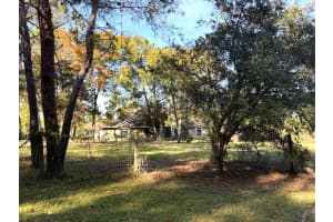 791 142 AVENUE, WILLISTON, FL 32696 - MLS#MFRS5140502