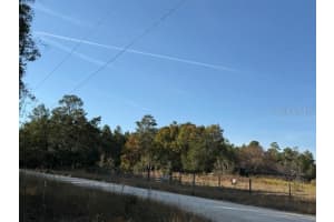 791 142 AVENUE, WILLISTON, FL 32696 - MLS#MFRS5140502