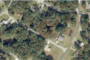 LOCUST RUN DR, OCALA, FL 34472 - MLS#MFRS5140547