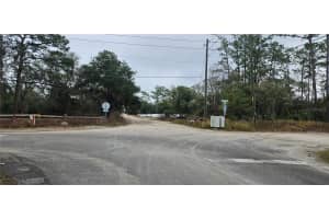 SW 155TH ST, DUNNELLON, FL 34432 - MLS#MFRS5140589