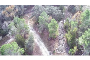 12070 SEELY LANE, BROOKSVILLE, FL 34613 - MLS#MFRS5140616