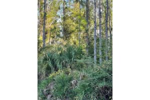 OLD TRAIN RD, DELTONA, FL 32738 - MLS#MFRS5140904