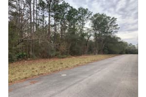 156 ST, OCALA, FL 34473 - MLS#MFRS5141073