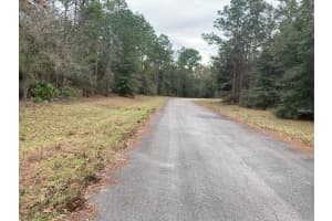 156 ST, OCALA, FL 34473 - MLS#MFRS5141073