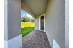 1490 STONE ARROW COURT, OAKLAND, FL 34787 - MLS#MFRS5141442