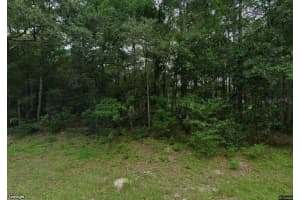 10256 ADENA TERRACE, CITRUS SPRINGS, FL 34434 Sold 02/20/26