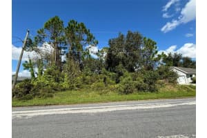 310 CARDIFF DRIVE, POINCIANA, FL 34758 - MLS#MFRS5141491