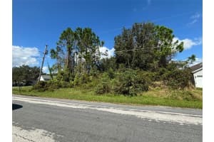 310 CARDIFF DRIVE, POINCIANA, FL 34758 - MLS#MFRS5141491