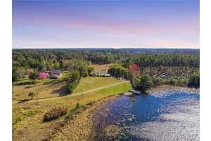 7008 HUNT ROAD, GROVELAND, FL 34736 - MLS#MFRS5141545