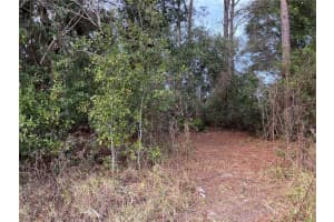NW 20TH ST, OCALA, FL 34482 - MLS#MFRS5141801